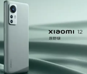 سعر و مواصفات Xiaomi 12X